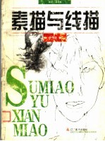 素描与线描