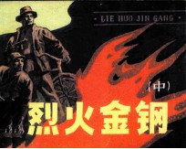 烈火金刚 中