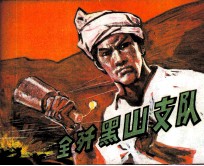 全歼黑山支队