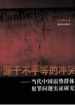 源于不平等的冲突 当代中国弱势群体犯罪问题实证研究