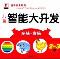 黛诗宝宝系列 儿童智能大开发 2-3岁