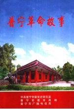 普宁革命故事