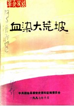 血染大荒坡