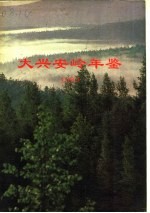 大兴安岭年鉴 1989