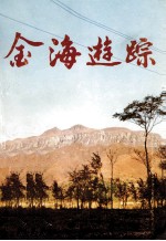 金海游踪