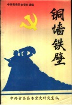 中共青县历史资料选辑 铜墙铁壁