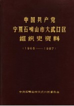 中国共产党宁夏石嘴山市大武口区组织史资料 1966-1987