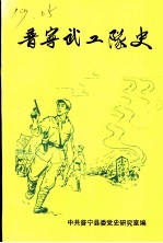 普宁武工队史