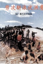 劈波斩浪伏洪魔 98黄石抗洪档案