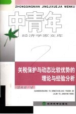 关税保护与动态比较优势的理论与经验分析