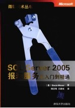 SQL Server 2005报表服务从入门到精通