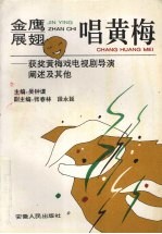 金鹰展翅唱黄梅 获奖黄梅戏电视剧导演阐述及其他