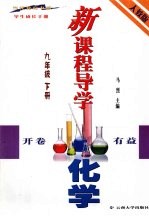 新课程导学 化学 九年级 下