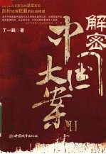 解密中国大案 2