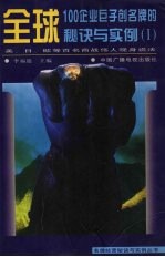 全球100企业巨子创名牌的秘诀与实例 美、日、欧等百名商战伟人现身说法 1