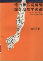 造山带区调填图中综合地层学实践 以四川白玉县登龙、热加三叠系研究为例
