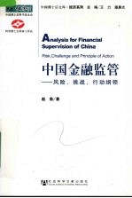 中国金融监管 风险、挑战、行动纲领