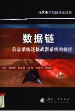 数据链 信息系统连接武器系统的捷径