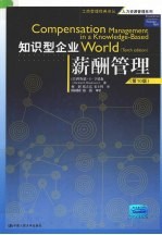 知识型企业薪酬管理 第10版