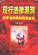 现行法律漏洞的不当利用与防范全书 上卷