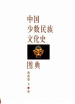 中国少数民族文化史图典 第7卷 西南卷 下