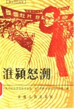 淮颍怒潮