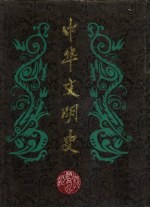 中华文明史 第10卷 清代后期