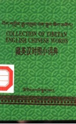 藏英汉对照小词典 英文
