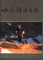哈尼梯田文化