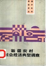新疆农村社会经济典型调查