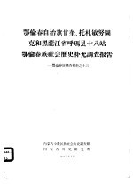 鄂伦春自治旗木奎高鲁、爱辉县新生村和逊克县新鄂村补充调查报告