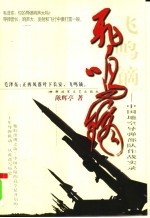飞鸣镝 中国地空导弹部队作战实录