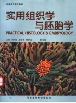 实用组织学与胚胎学 第7版