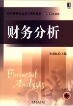 财务分析