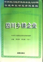 四川乡镇企业