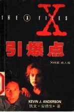 X档案之一:引爆点
