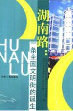 湖南路:一条全国文明街的诞生