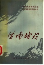 济南战役