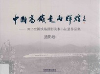 中国高铁走向辉煌 2015全国铁路摄影美术书法展作品集 摄影卷