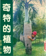 自然追踪 3 奇特植物