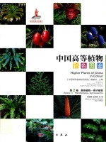 中国高等植物彩色图鉴 第2卷 蕨类植物 裸子植物