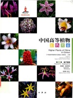 中国高等植物彩色图鉴 第8卷 被子植物 香蒲科 翡若翠科