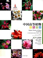 中国高等植物彩色图鉴 第5卷 被子植物 大戟科 山茱萸科