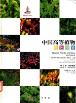 中国高等植物彩色图鉴 第1卷 苔藓植物