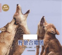 野狼合唱团