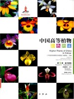 中国高等植物彩色图鉴 第9卷 被子植物 蒟蒻藪科 兰科