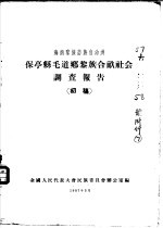 海南黎族苗族自治洲 保亭县毛道乡黎族合亩社会调查报告 初稿