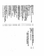 新华社新闻稿 1955年11月28日