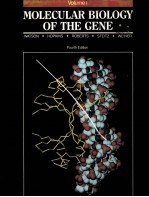 MOLECULAR BIOLOGY OF THE GENE VOLUME 1 FOURTH EDITION