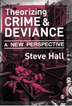 THEORIZING CRIME & DEVIANCE A NEW PERSPECTIVE
